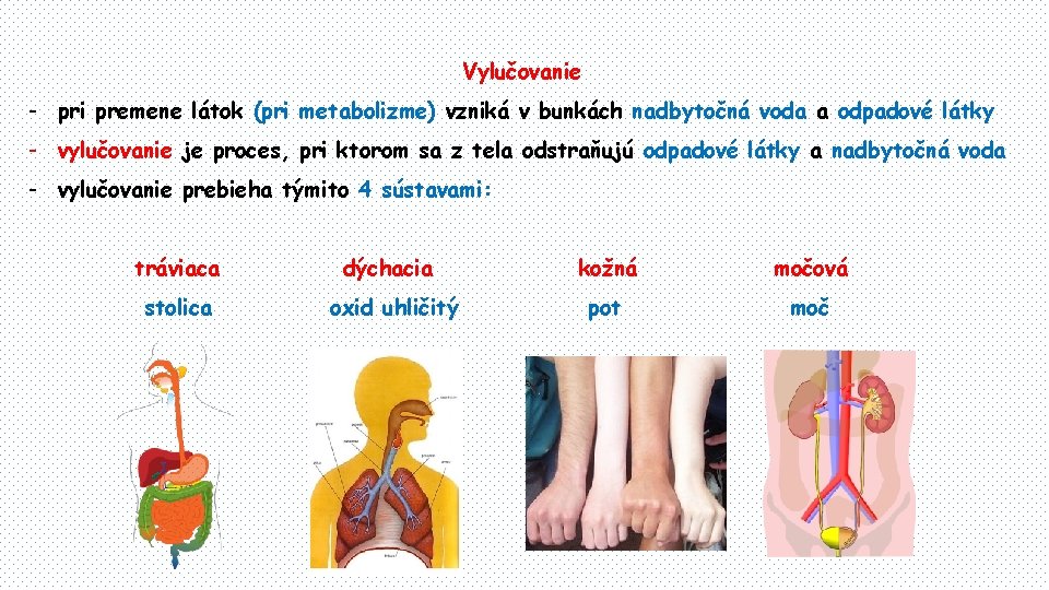 Vylučovanie - pri premene látok (pri metabolizme) vzniká v bunkách nadbytočná voda a odpadové Vylučovanie - pri premene látok (pri metabolizme) vzniká v bunkách nadbytočná voda a odpadové