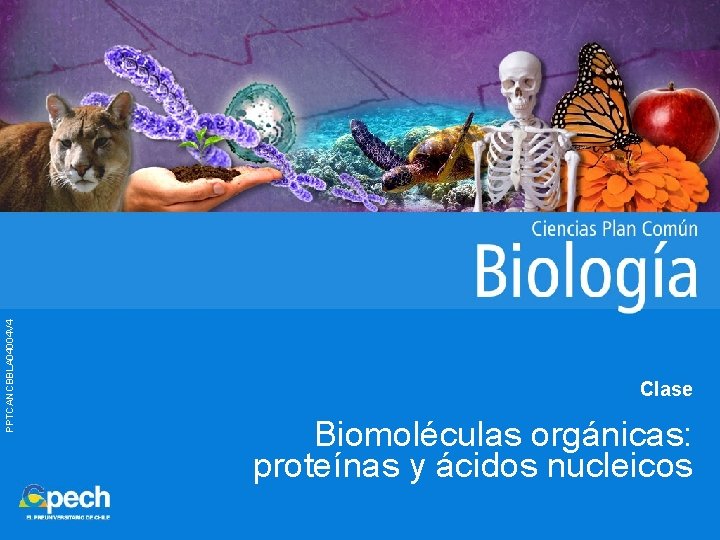PPTCANCBBLA 04004 V 4 Clase Biomoléculas orgánicas: proteínas y ácidos nucleicos 