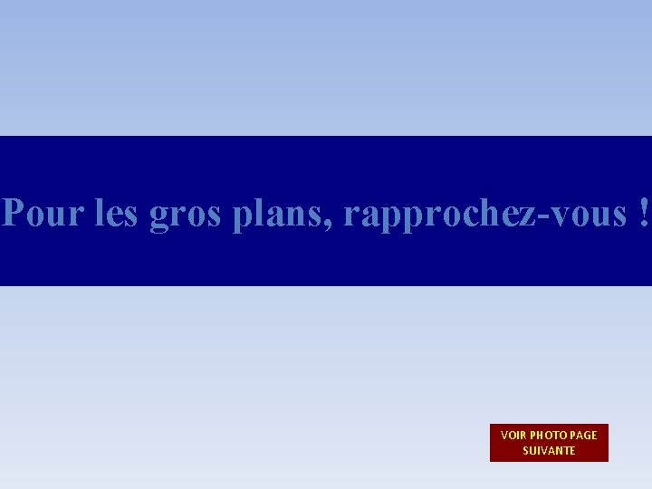 Pour les gros plans, rapprochez-vous ! VOIR PHOTO PAGE SUIVANTE 