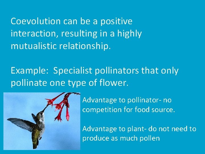 Coevolution can be a positive interaction, resulting in a highly mutualistic relationship. Example: Specialist