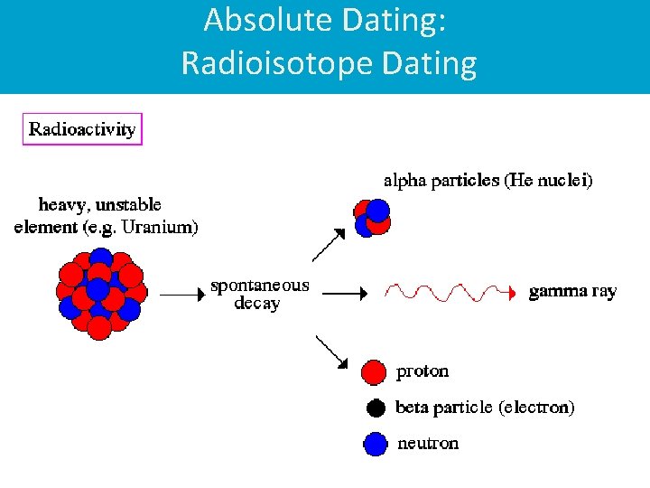 Absolute Dating: Radioisotope Dating 