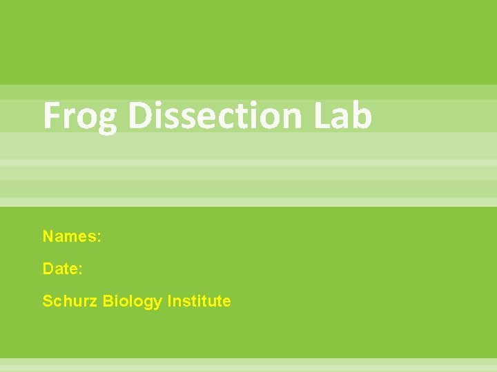 Frog Dissection Lab Names: Date: Schurz Biology Institute 