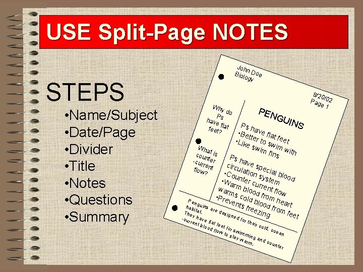 USE Split-Page NOTES Joh n Biol Doe ogy STEPS • Name/Subject • Date/Page •