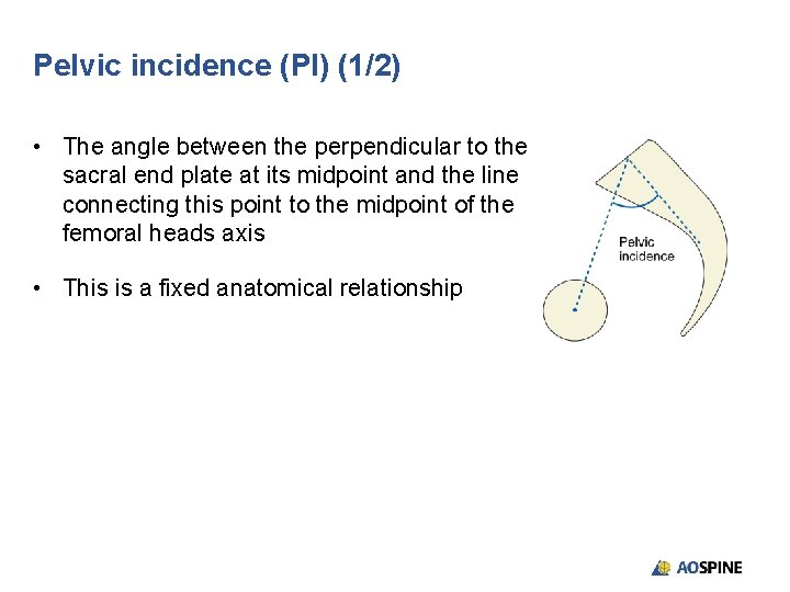 Pelvic incidence (PI) (1/2) • The angle between the perpendicular to the sacral end