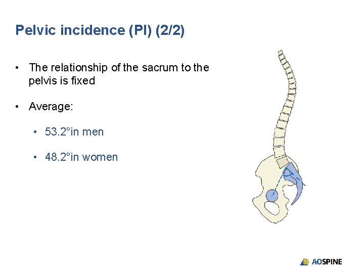 Pelvic incidence (PI) (2/2) • The relationship of the sacrum to the pelvis is