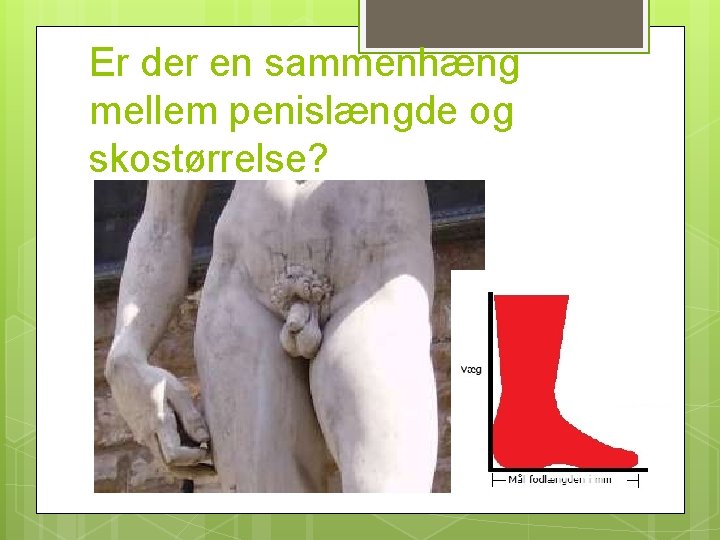 Er der en sammenhæng mellem penislængde og skostørrelse? 