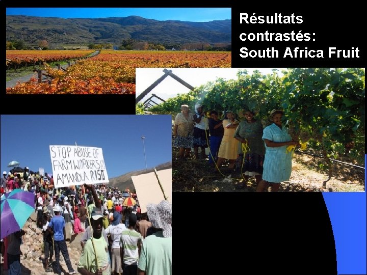 Résultats contrastés: South Africa Fruit 