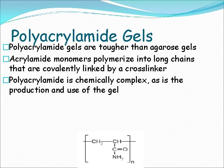 Polyacrylamide Gels �Polyacrylamide gels are tougher than agarose gels �Acrylamide monomers polymerize into long