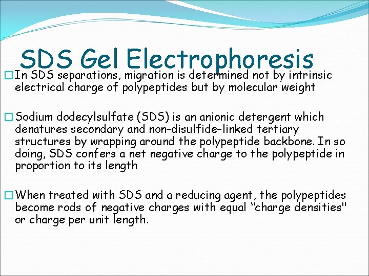 SDS Gel Electrophoresis �In SDS separations, migration is determined not by intrinsic electrical charge