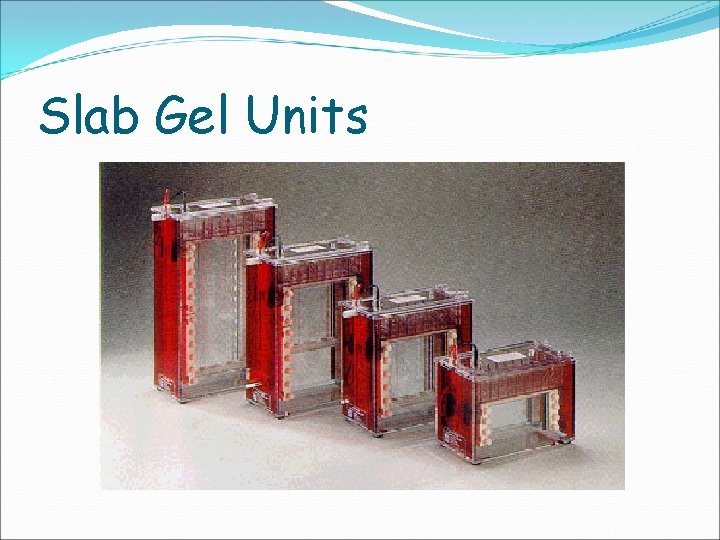 Slab Gel Units 