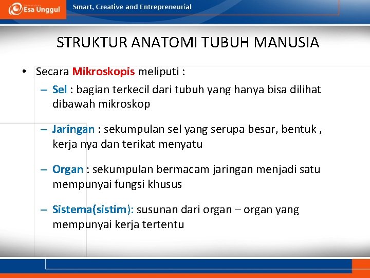 STRUKTUR ANATOMI TUBUH MANUSIA • Secara Mikroskopis meliputi : – Sel : bagian terkecil