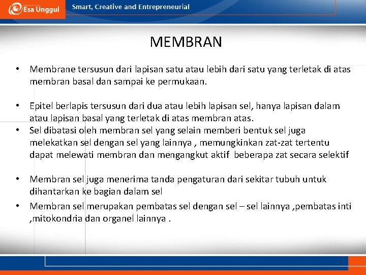 MEMBRAN • Membrane tersusun dari lapisan satu atau lebih dari satu yang terletak di