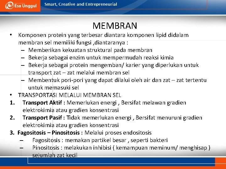 MEMBRAN • Komponen protein yang terbesar diantara komponen lipid didalam membran sel memiliki fungsi