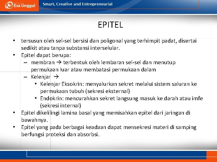 EPITEL • tersusun oleh sel-sel bersisi dan poligonal yang terhimpit padat, disertai sedikit atau