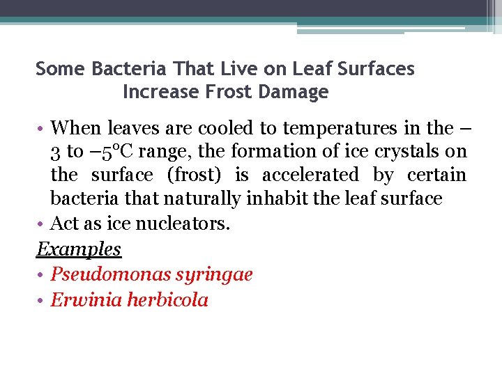 Some Bacteria That Live on Leaf Surfaces Increase Frost Damage • When leaves are