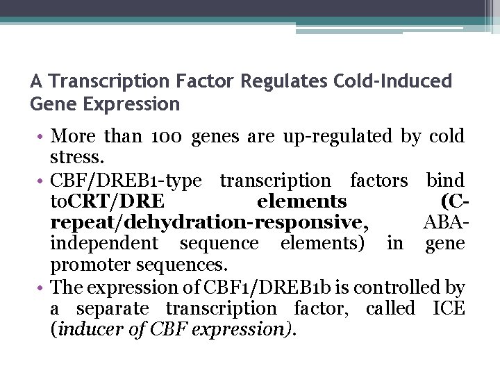 A Transcription Factor Regulates Cold-Induced Gene Expression • More than 100 genes are up-regulated