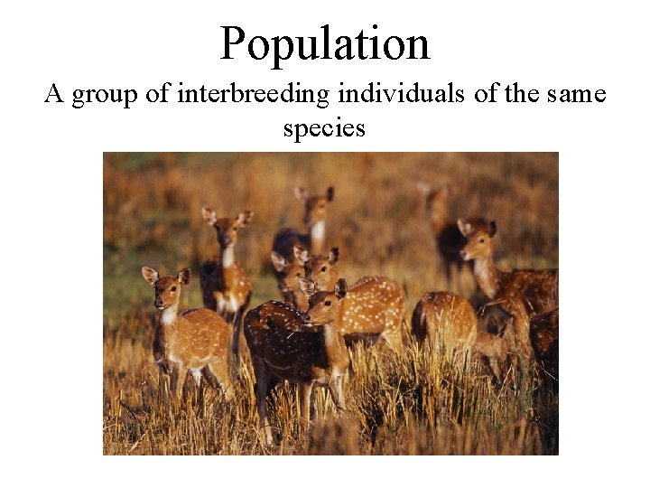 Population A group of interbreeding individuals of the same species Population A group of interbreeding individuals of the same species