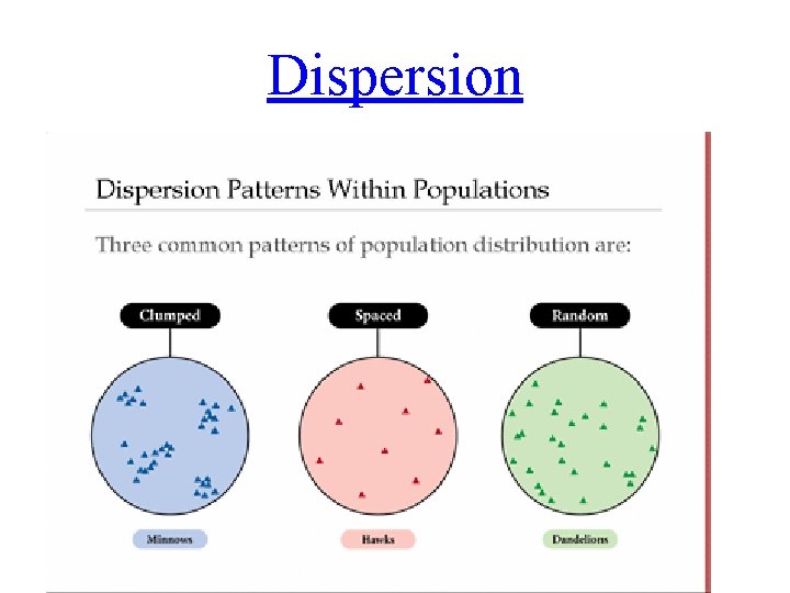 Dispersion Dispersion