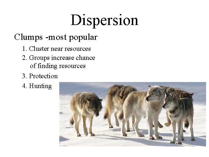 Dispersion Clumps -most popular 1. Cluster near resources 2. Groups increase chance of finding Dispersion Clumps -most popular 1. Cluster near resources 2. Groups increase chance of finding