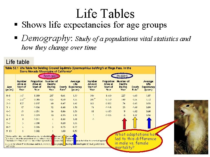 Life Tables § Shows life expectancies for age groups § Demography: Study of a Life Tables § Shows life expectancies for age groups § Demography: Study of a