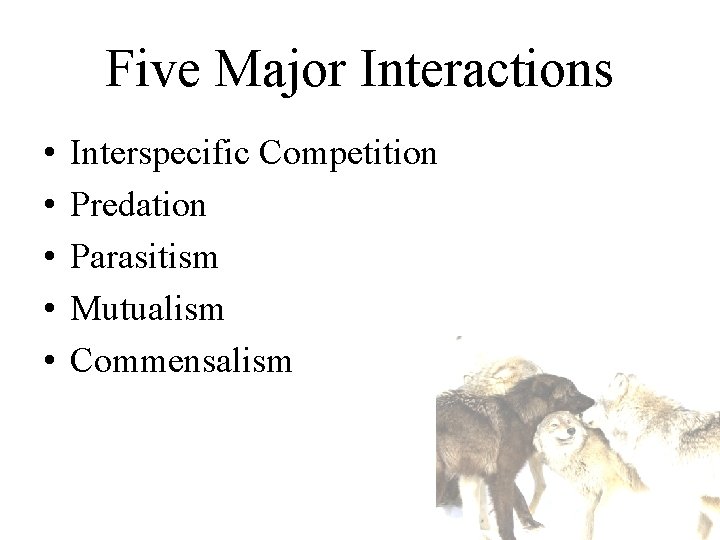 Five Major Interactions • • • Interspecific Competition Predation Parasitism Mutualism Commensalism Five Major Interactions • • • Interspecific Competition Predation Parasitism Mutualism Commensalism