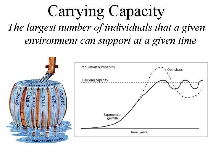 Carrying Capacity The largest number of individuals that a given environment can support at Carrying Capacity The largest number of individuals that a given environment can support at