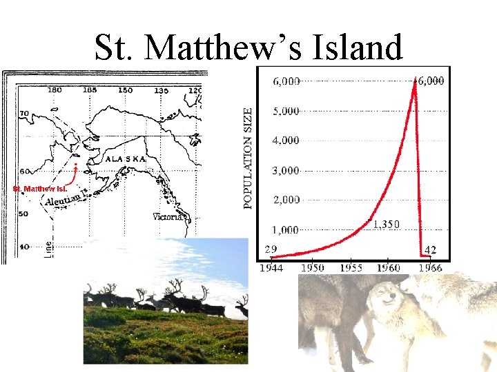 St. Matthew’s Island St. Matthew’s Island