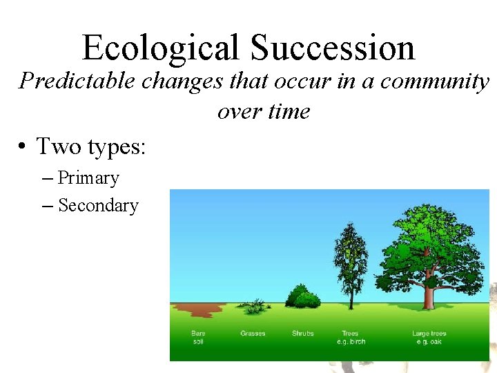 Ecological Succession Predictable changes that occur in a community over time • Two types: Ecological Succession Predictable changes that occur in a community over time • Two types: