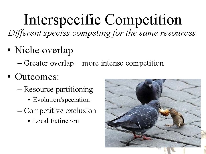 Interspecific Competition Different species competing for the same resources • Niche overlap – Greater Interspecific Competition Different species competing for the same resources • Niche overlap – Greater