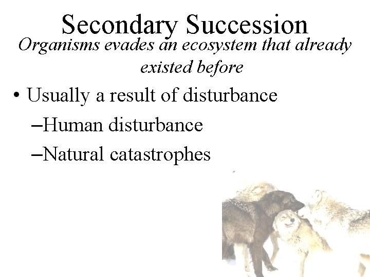 Secondary Succession Organisms evades an ecosystem that already existed before • Usually a result Secondary Succession Organisms evades an ecosystem that already existed before • Usually a result
