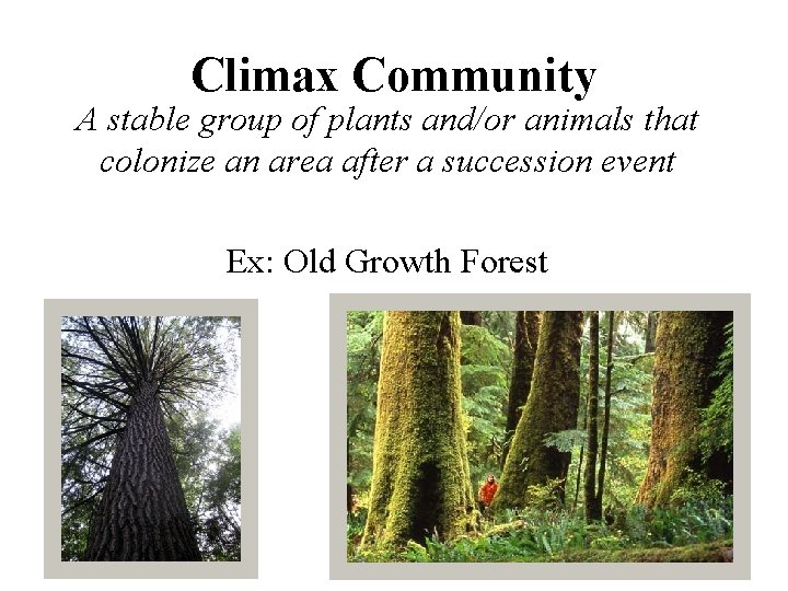 Climax Community A stable group of plants and/or animals that colonize an area after Climax Community A stable group of plants and/or animals that colonize an area after