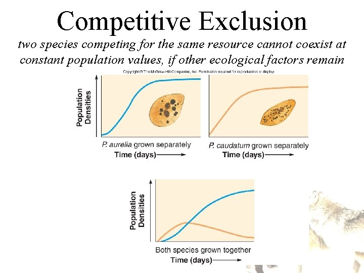 Competitive Exclusion two species competing for the same resource cannot coexist at constant population Competitive Exclusion two species competing for the same resource cannot coexist at constant population