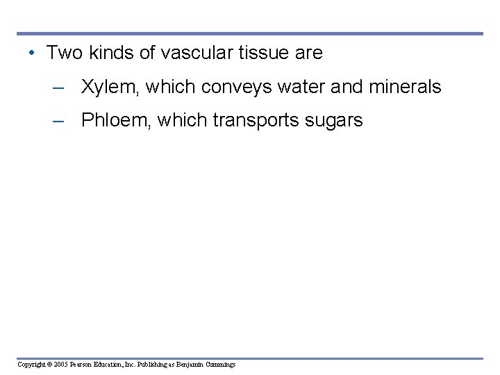 • Two kinds of vascular tissue are – Xylem, which conveys water and • Two kinds of vascular tissue are – Xylem, which conveys water and