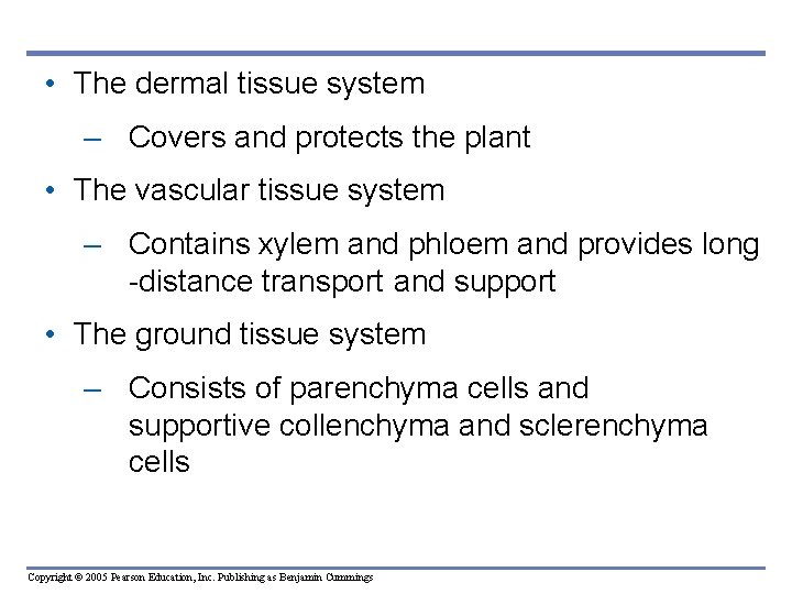 • The dermal tissue system – Covers and protects the plant • The • The dermal tissue system – Covers and protects the plant • The