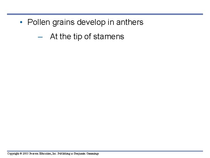 • Pollen grains develop in anthers – At the tip of stamens Copyright • Pollen grains develop in anthers – At the tip of stamens Copyright
