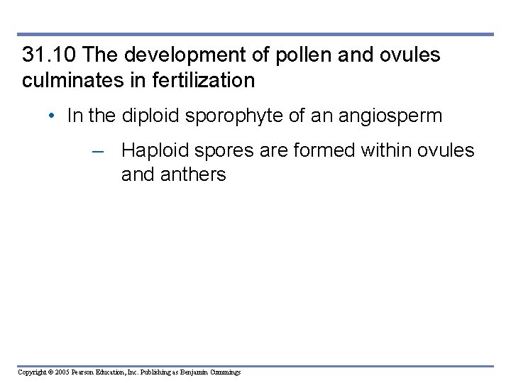31. 10 The development of pollen and ovules culminates in fer tilization • In 31. 10 The development of pollen and ovules culminates in fer tilization • In