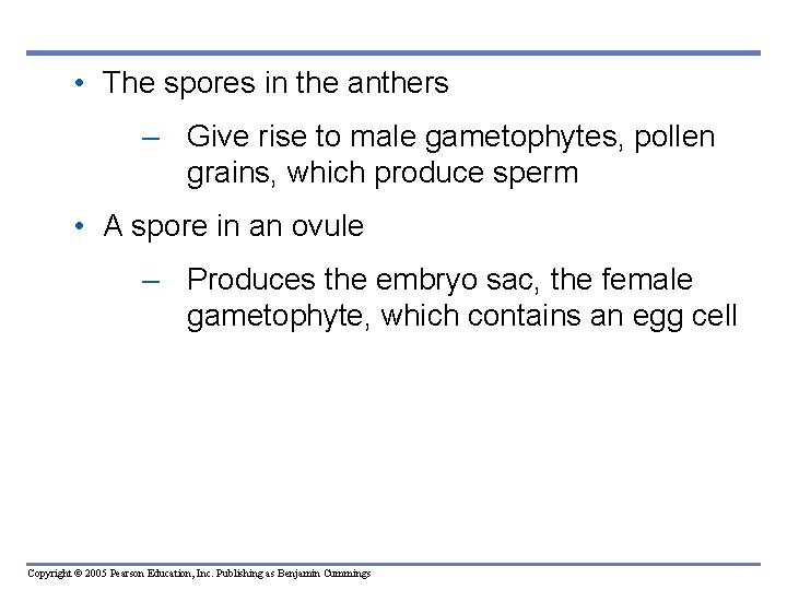 • The spores in the anthers – Give rise to male gametophytes, pollen • The spores in the anthers – Give rise to male gametophytes, pollen