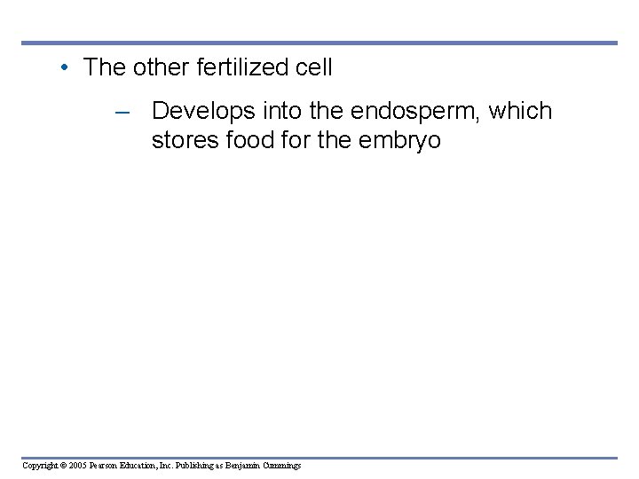 • The other fertilized cell – Develops into the endosperm, which stores food • The other fertilized cell – Develops into the endosperm, which stores food