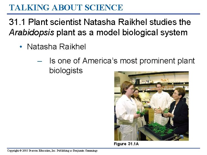 TALKING ABOUT SCIENCE 31. 1 Plant scientist Natasha Raikhel studies the Arabidopsis plant as TALKING ABOUT SCIENCE 31. 1 Plant scientist Natasha Raikhel studies the Arabidopsis plant as