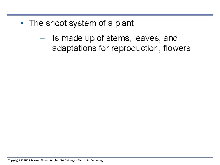 • The shoot system of a plant – Is made up of stems, • The shoot system of a plant – Is made up of stems,