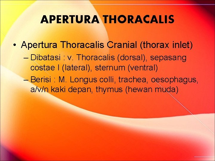 APERTURA THORACALIS • Apertura Thoracalis Cranial (thorax inlet) – Dibatasi : v. Thoracalis (dorsal), APERTURA THORACALIS • Apertura Thoracalis Cranial (thorax inlet) – Dibatasi : v. Thoracalis (dorsal),