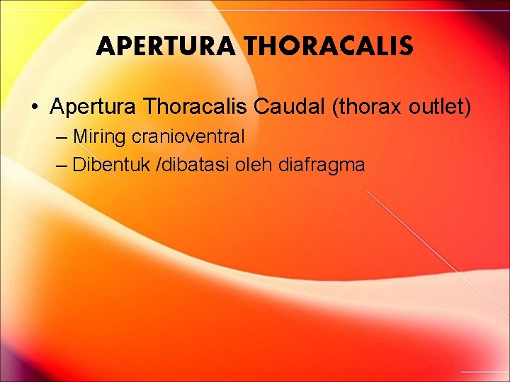 APERTURA THORACALIS • Apertura Thoracalis Caudal (thorax outlet) – Miring cranioventral – Dibentuk /dibatasi APERTURA THORACALIS • Apertura Thoracalis Caudal (thorax outlet) – Miring cranioventral – Dibentuk /dibatasi