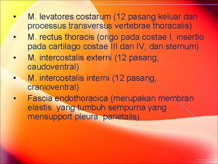 • • • M. levatores costarum (12 pasang keluar dari processus transversus vertebrae • • • M. levatores costarum (12 pasang keluar dari processus transversus vertebrae