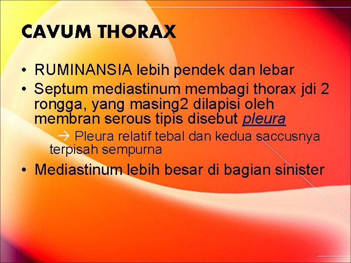 CAVUM THORAX • RUMINANSIA lebih pendek dan lebar • Septum mediastinum membagi thorax jdi CAVUM THORAX • RUMINANSIA lebih pendek dan lebar • Septum mediastinum membagi thorax jdi