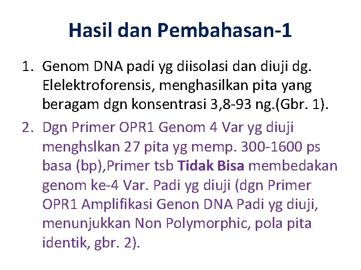 Hasil dan Pembahasan-1 1. Genom DNA padi yg diisolasi dan diuji dg. Elelektroforensis, menghasilkan