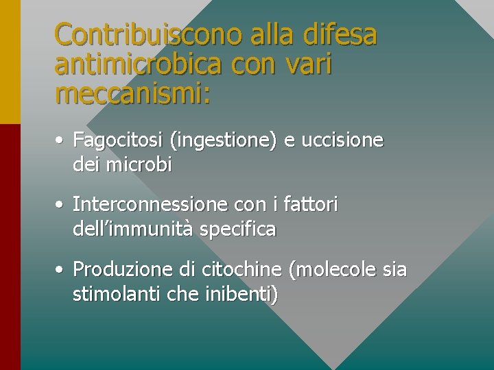 Contribuiscono alla difesa antimicrobica con vari meccanismi: • Fagocitosi (ingestione) e uccisione dei microbi