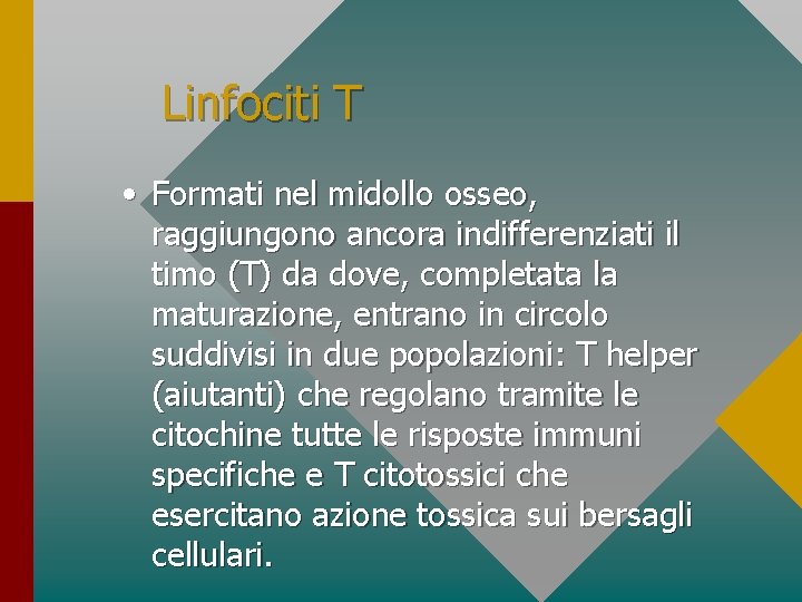 Linfociti T • Formati nel midollo osseo, raggiungono ancora indifferenziati il timo (T) da