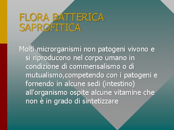 FLORA BATTERICA SAPROFITICA Molti microrganismi non patogeni vivono e si riproducono nel corpo umano