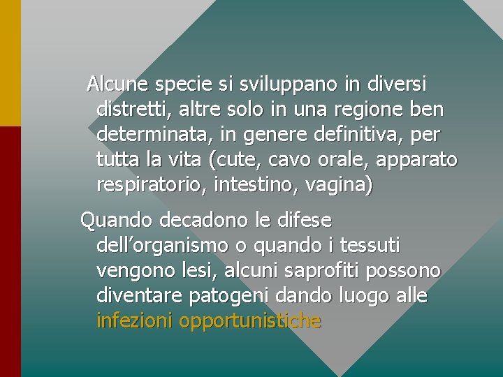 Alcune specie si sviluppano in diversi distretti, altre solo in una regione ben determinata,