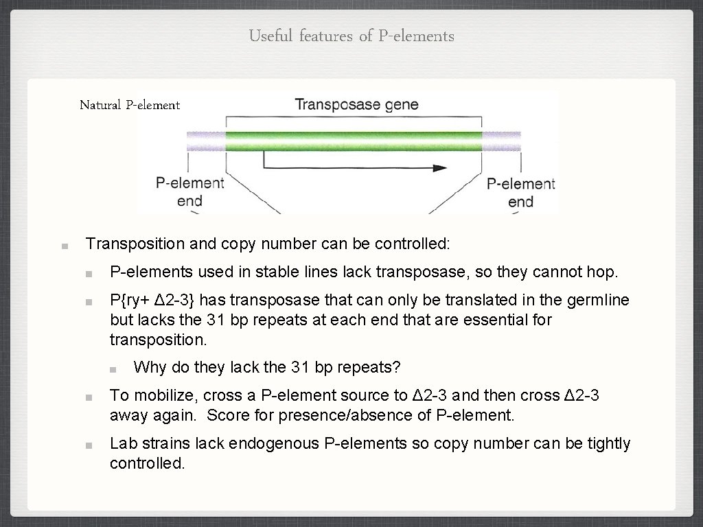 Useful features of P-elements Natural P-element Transposition and copy number can be controlled: P-elements Useful features of P-elements Natural P-element Transposition and copy number can be controlled: P-elements